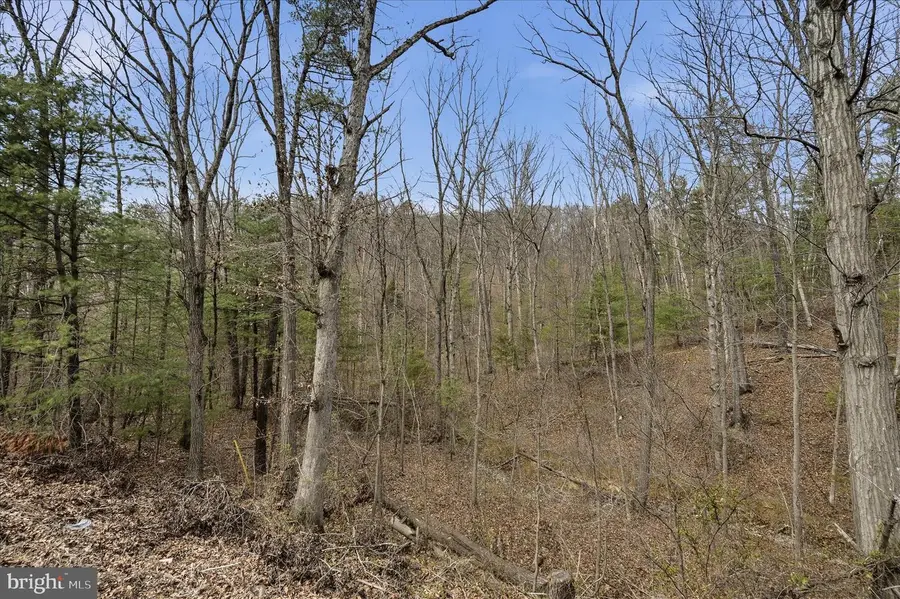 Lot 3 Arapaho Ln, Stephens City, VA 22655 - #3