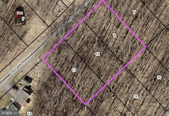 Lot 9, 11, 13 Cougar Trail, WINCHESTER, VA 22602