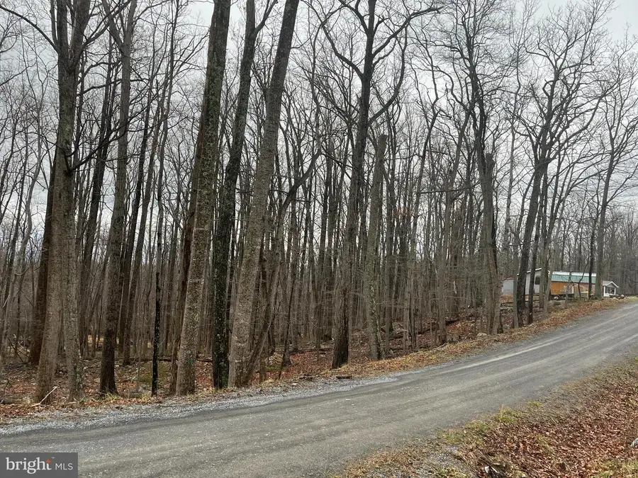 Lot 9, 11, 13 Cougar Trail, Winchester, VA 22602 - #2