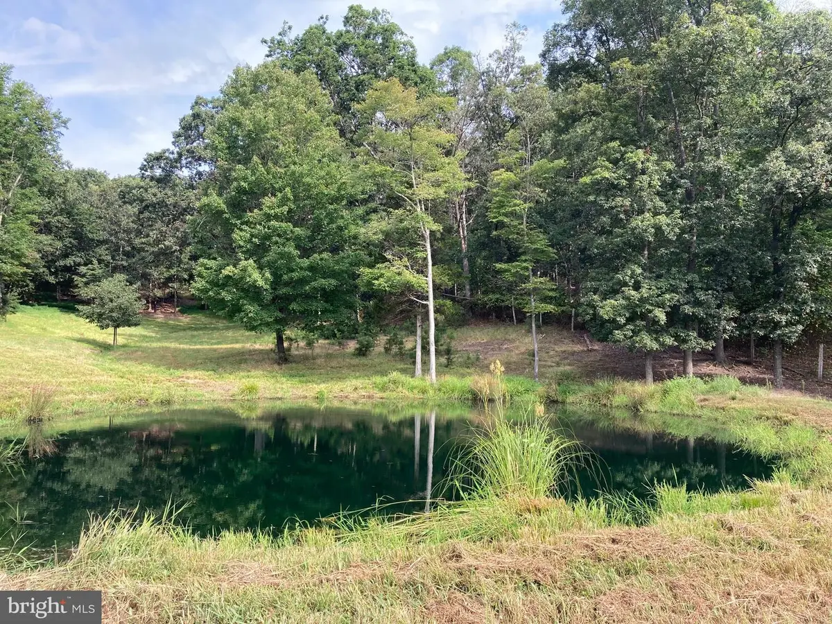 000 Light Rd, Winchester, VA 22603 - #1