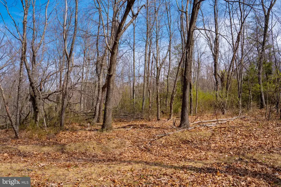 Wardensville Grade, Winchester, VA 22602 - #3