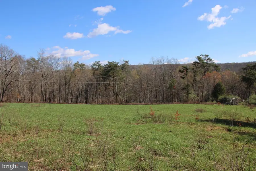 Brush Creek Rd, Winchester, VA 22603 - #2