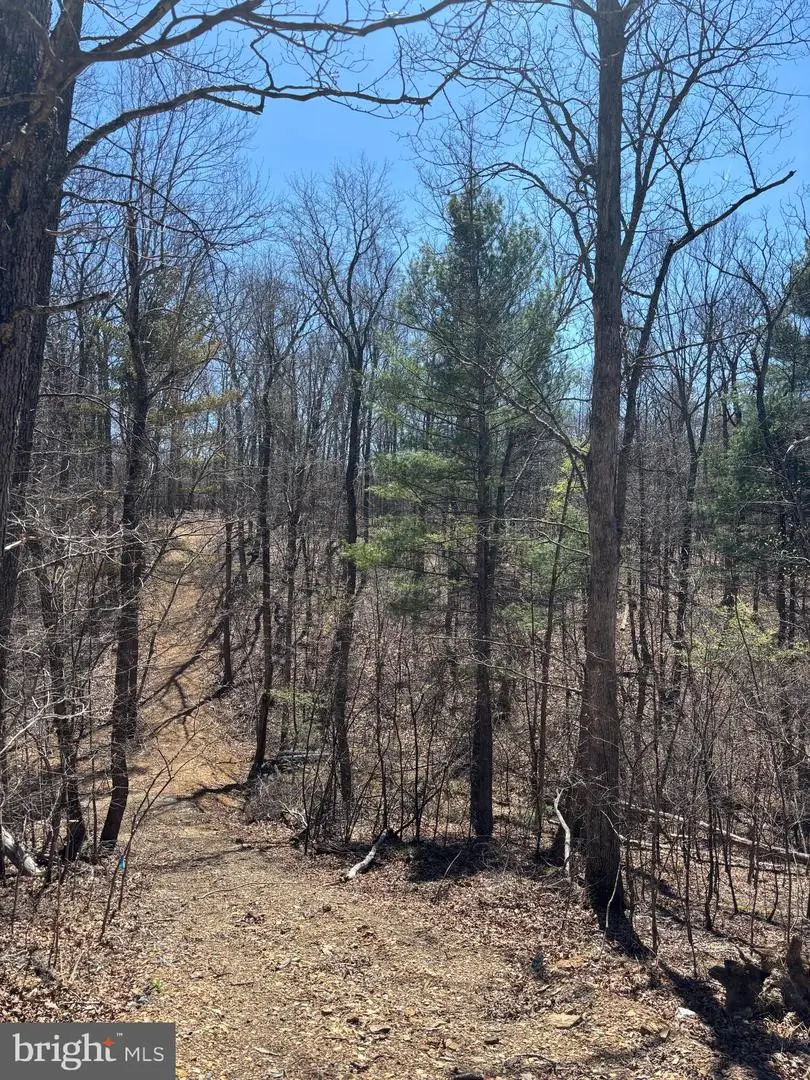 Lot 8a & 8b Reynolds Rd, Cross Junction, VA 22625 - #3