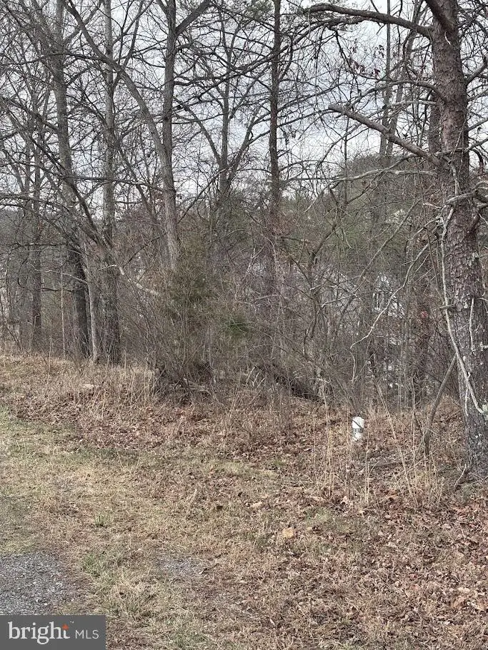 Lot #184 Sleigh Drive, Cross Junction, VA 22625 - #3