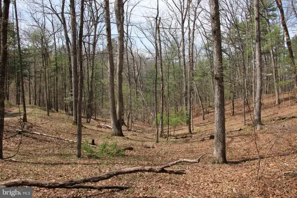 Hodges Lot 12 Ln, WINCHESTER, VA 22603