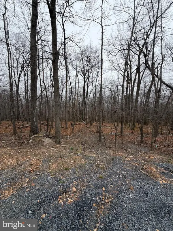 Arbutis Trl, STAR TANNERY, VA 22654