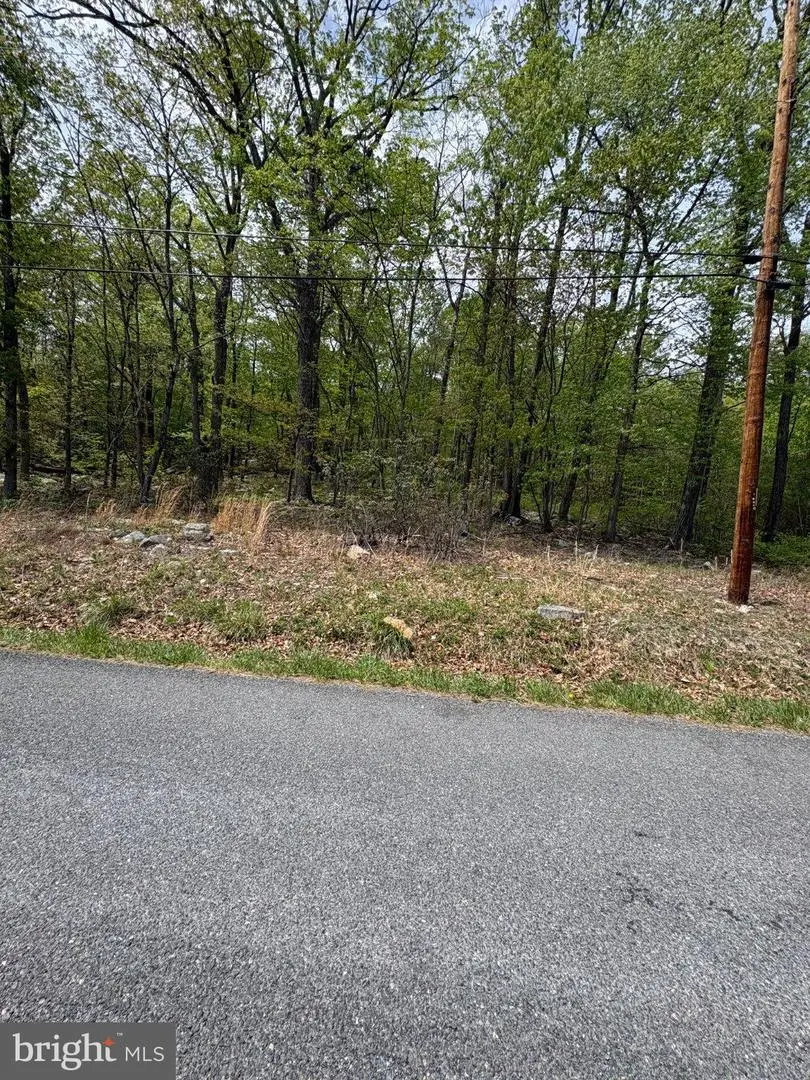 Lot 37 Huron Trl, Winchester, VA 22602 - #1