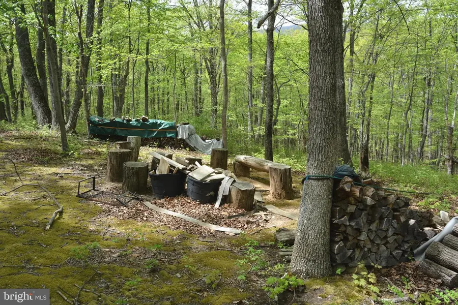 Fall Run Ln #10 Acres & 5 Acres, Winchester, VA 22601 - #3