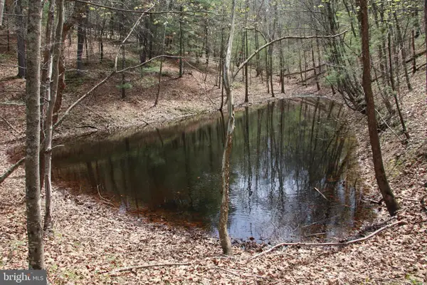 Hodges Lot 14 Ln, WINCHESTER, VA 22603