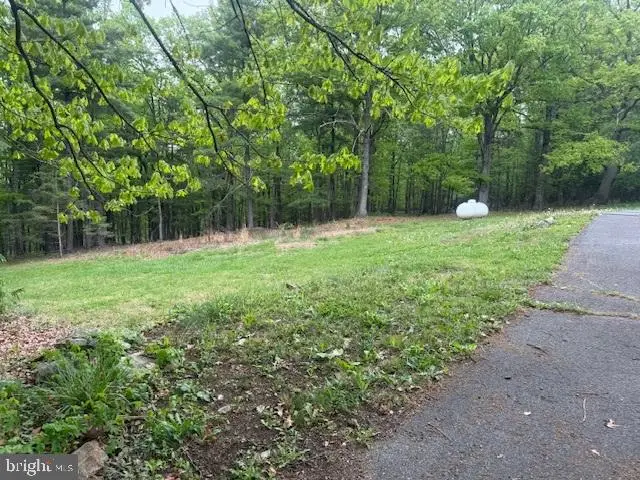 357 Hunting Ridge Rd, Winchester, VA 22603 - #3