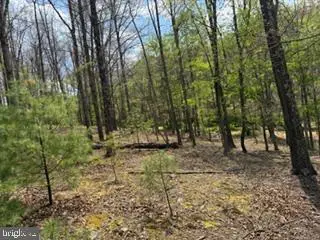 507 Easter Ridge Ln, Winchester, VA 22603 - #3