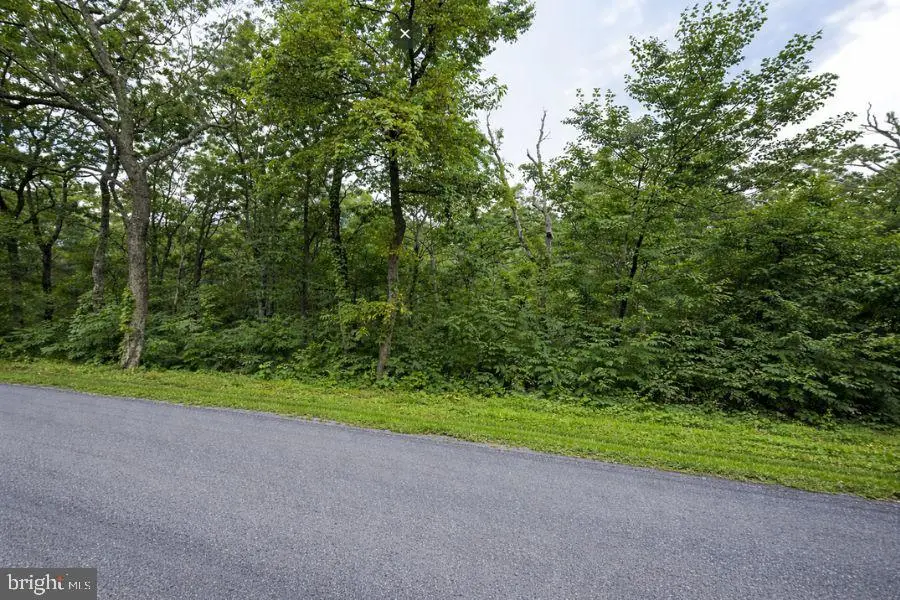 430 Shawnee Trl, Winchester, VA 22602 - #3