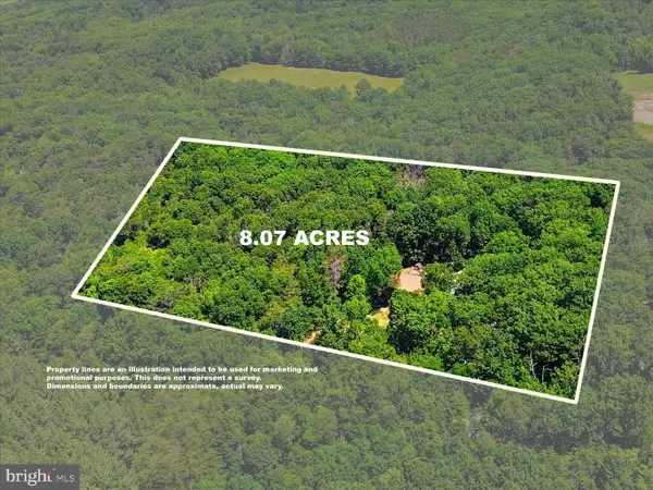 323 S Timber Ridge Rd, CROSS JUNCTION, VA 22625