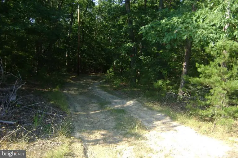 Four Wheel Dr, Winchester, VA 22602 - #3