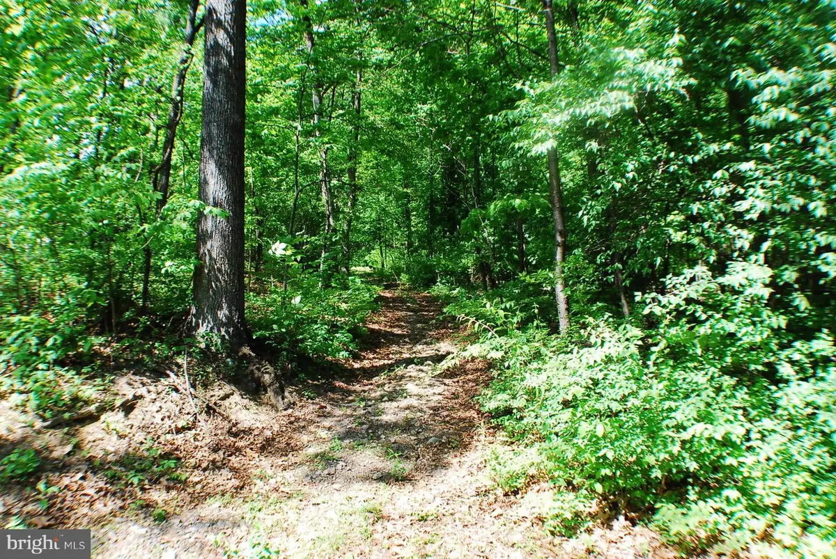 Lot 153 Babbs Mountain Rd, Winchester, VA 22603 - #1