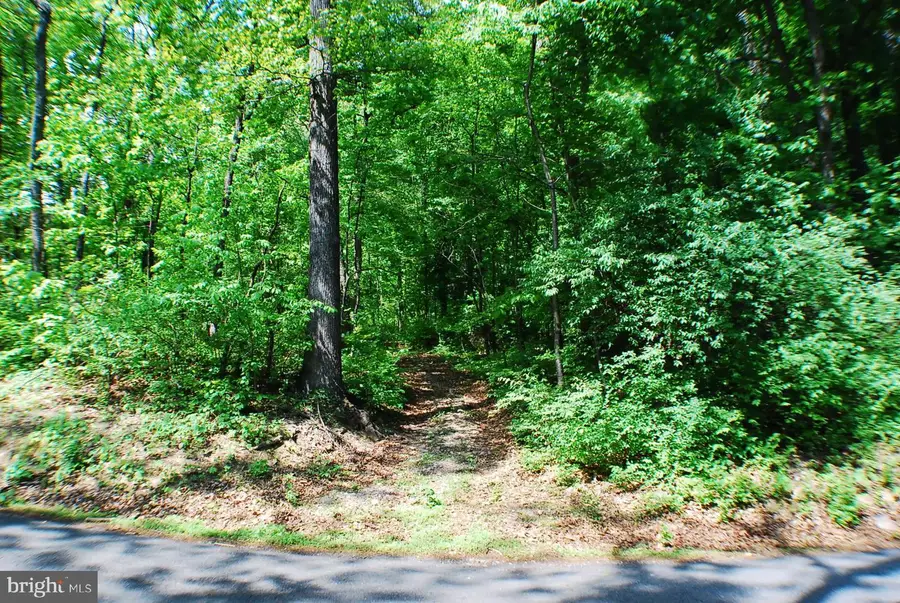 Lot 153 Babbs Mountain Rd, Winchester, VA 22603 - #2