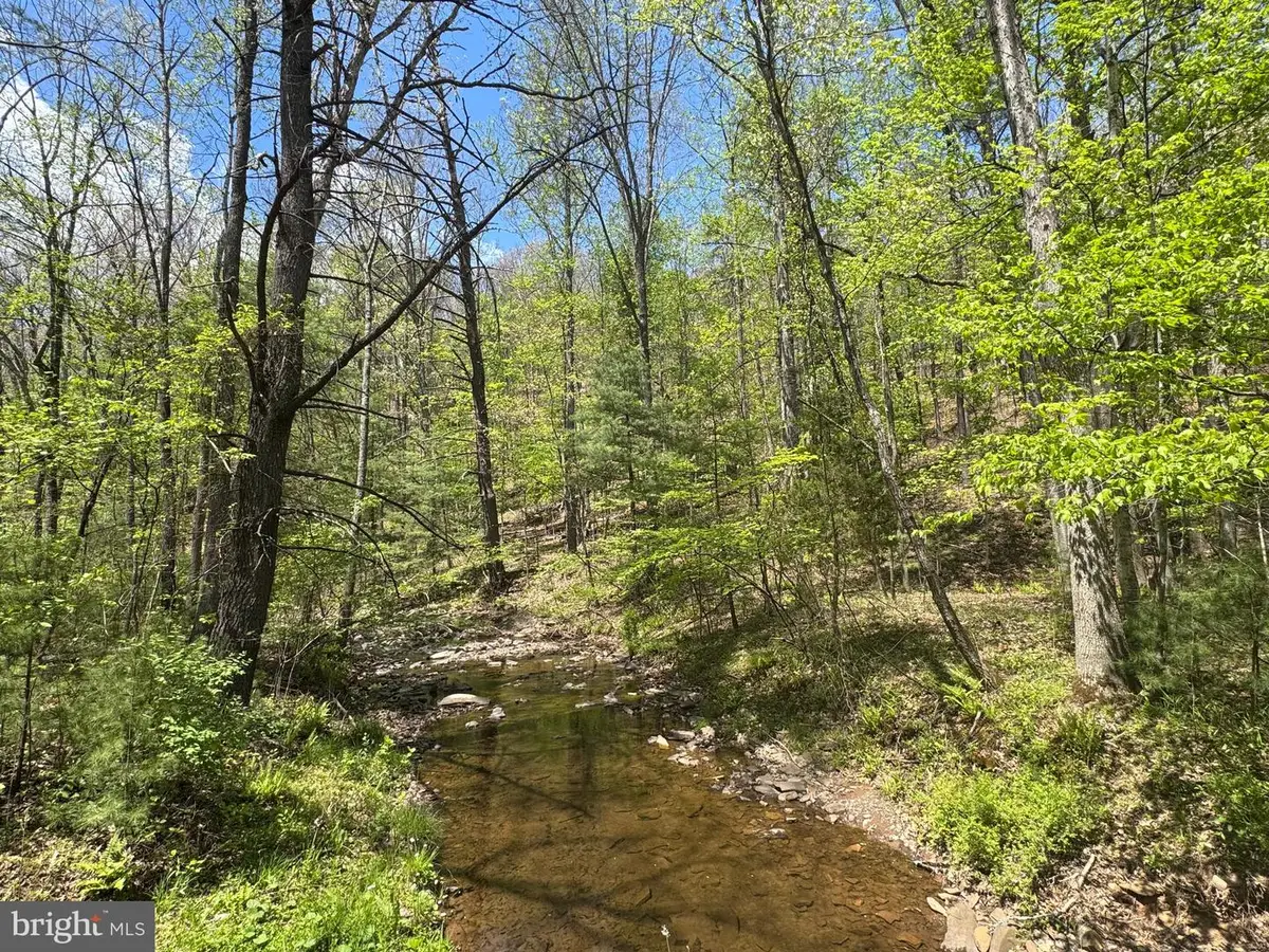 0 Shockeysville Road, Winchester, VA 22603 - #1