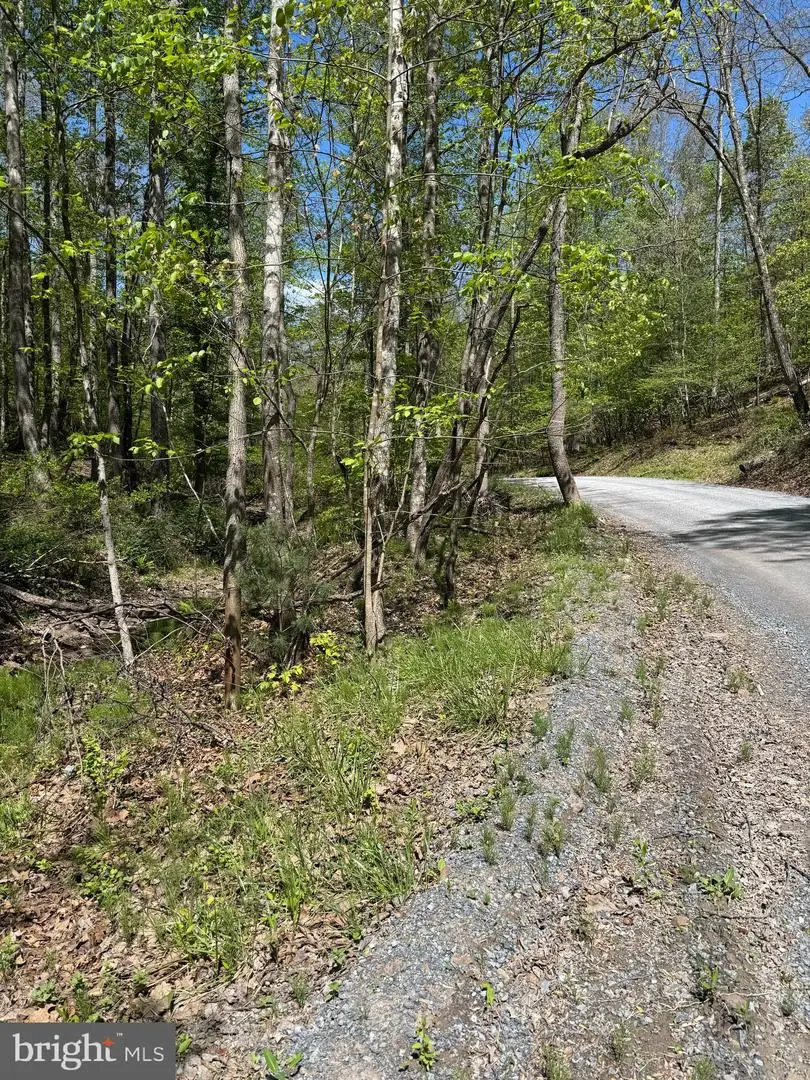 0 Shockeysville Road, Winchester, VA 22603 - #3