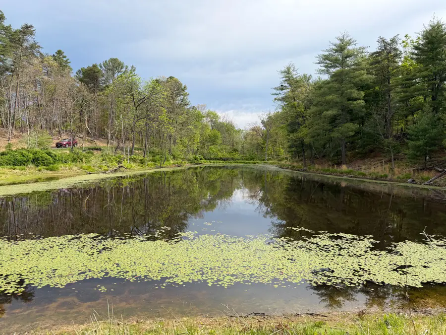 Lot 1 Crested Mountain Ln, Cross Junction, VA 22625 - #3
