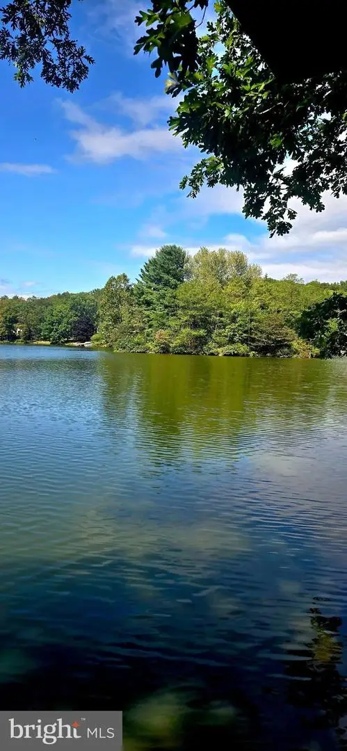 Lot 36 Lake Serene Dr, Winchester, VA 22603 - #1