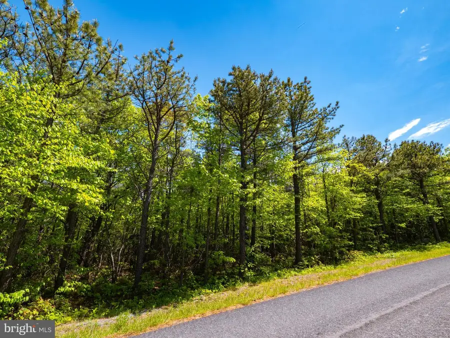 Lot 315a Timber Ridge Trl, Winchester, VA 22602 - #3