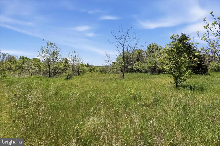Tbd Cedar Creek Grade, Winchester, VA 22602 - #3