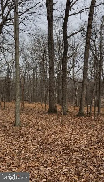 Winding Ridge Ln #lot 10, WINCHESTER, VA 22603