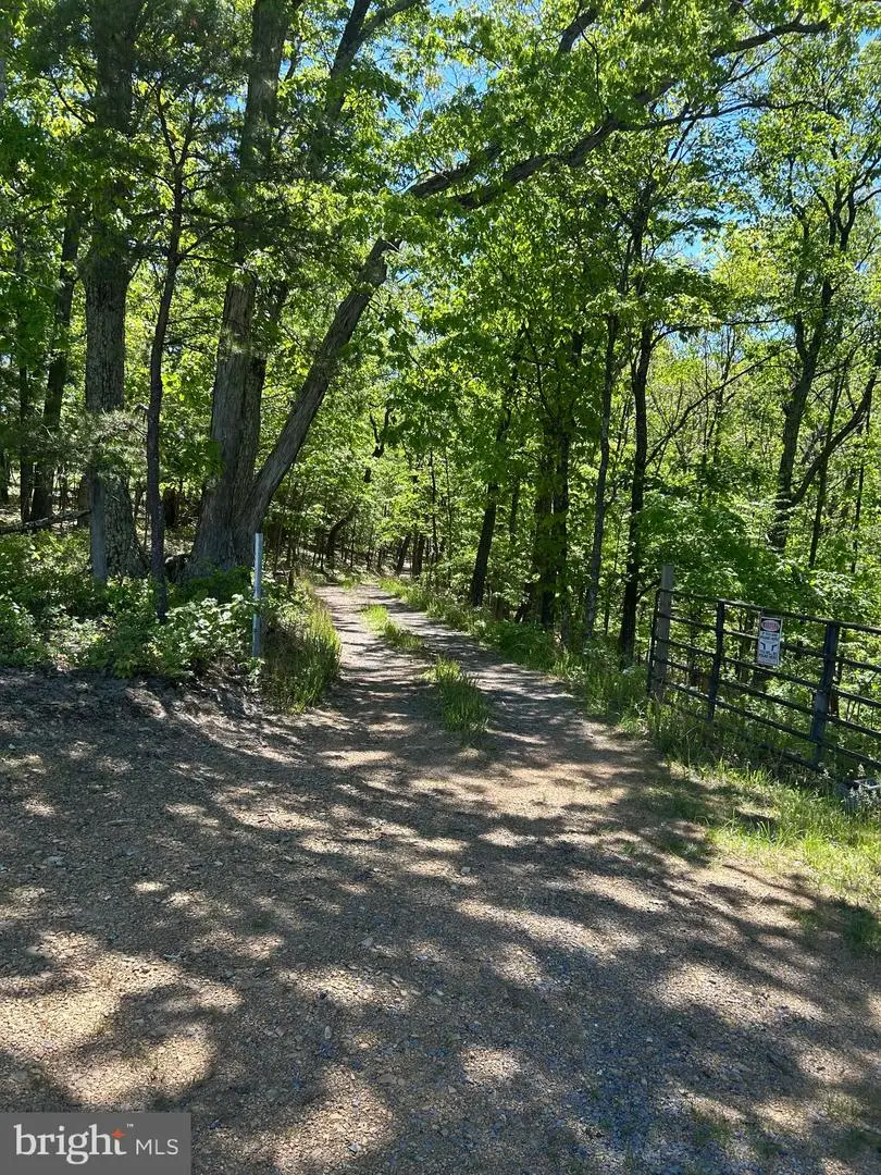 S South Timber Ridge Road, Cross Junction, VA 22625 - #2
