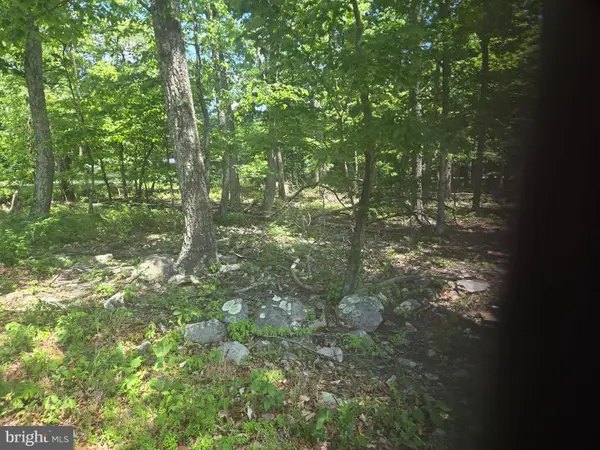 0 Tonto, WINCHESTER, VA 22602
