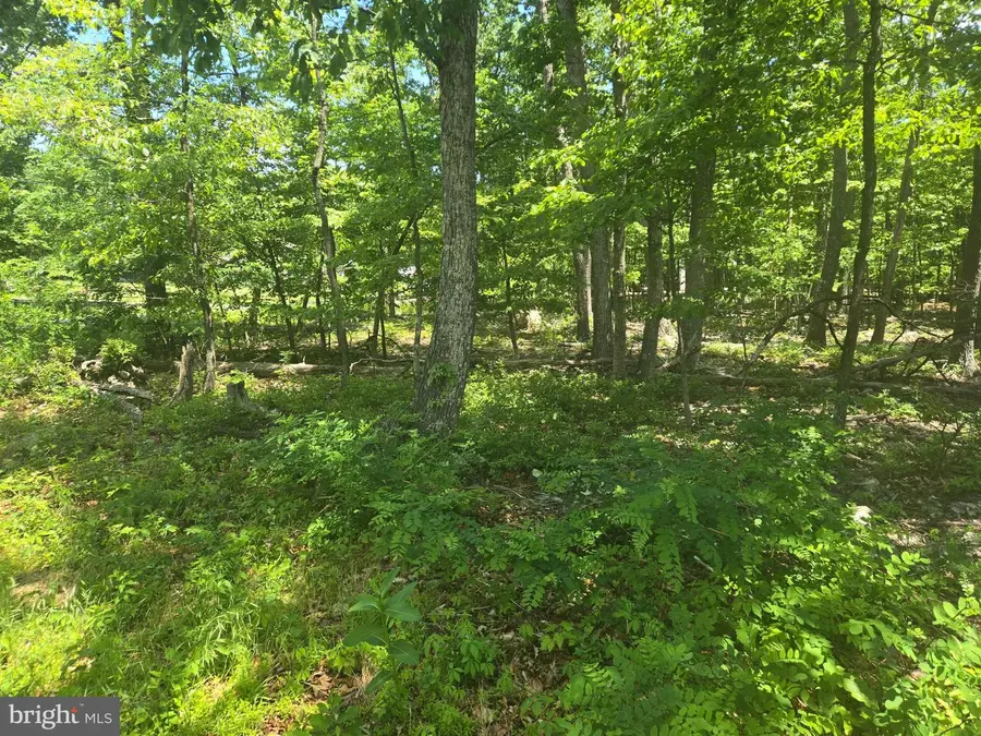 0 Tonto, Winchester, VA 22602 - #2