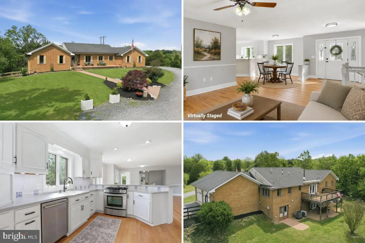 242 Old Plantation Ln, Stephens City, VA 22655 - #1