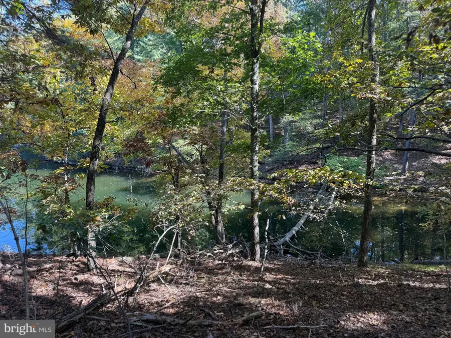 102 Southwood, Cross Junction, VA 22625 - #2
