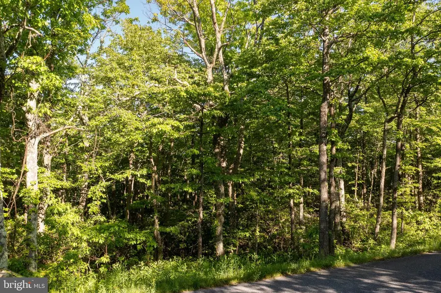Lot 342 Archwood Trl, Winchester, VA 22602 - #2