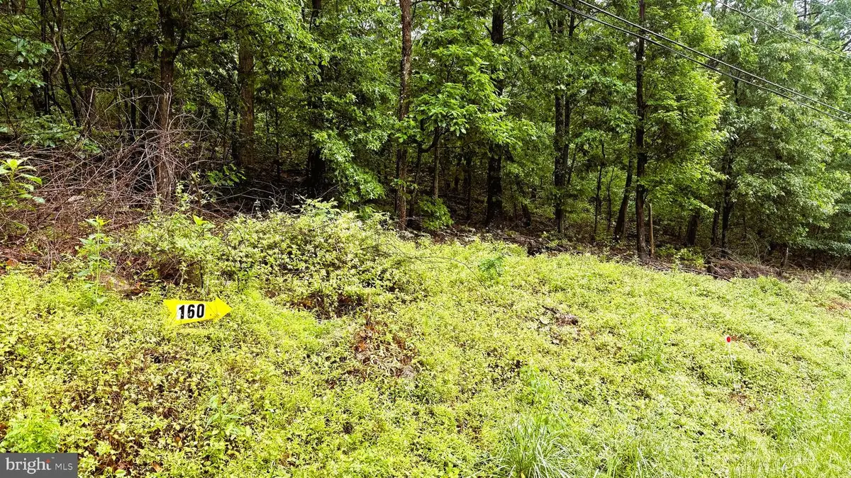 Lot 160-142 Hawk Trail, Winchester, VA 22603 - #1