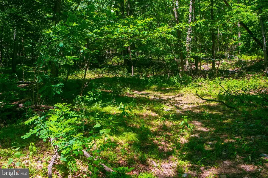Lot 37 Poplar Trl, Winchester, VA 22602 - #3