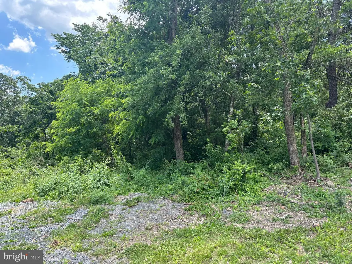 0 Wardensville Grade, Winchester, VA 22602 - #1