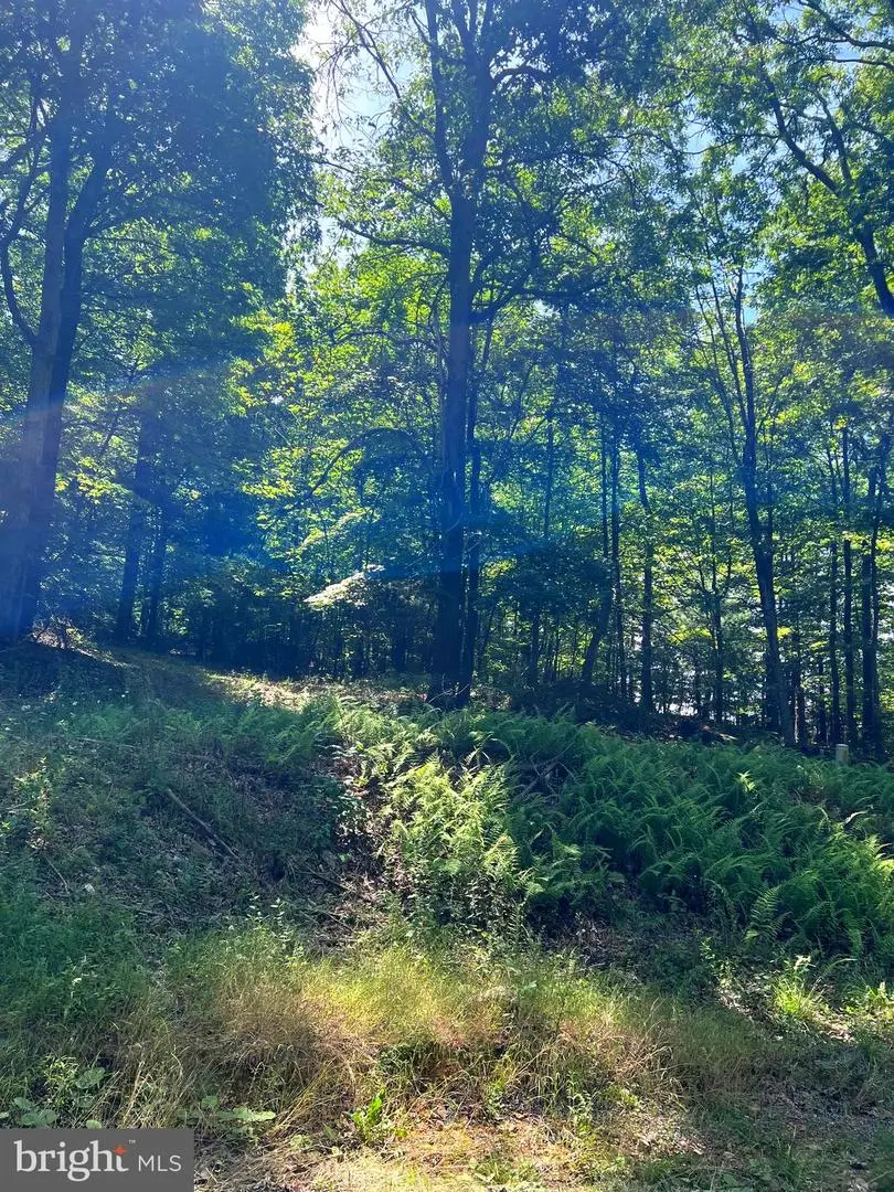 Tbd Brill Rd, Star Tannery, VA 22654 - #2