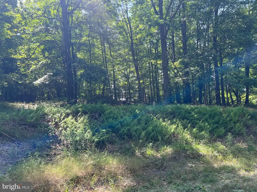 Tbd Brill Rd, Star Tannery, VA 22654 - #3