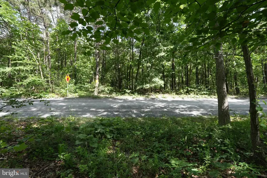 1917 S Timber Ridge, Cross Junction, VA 22625 - #3