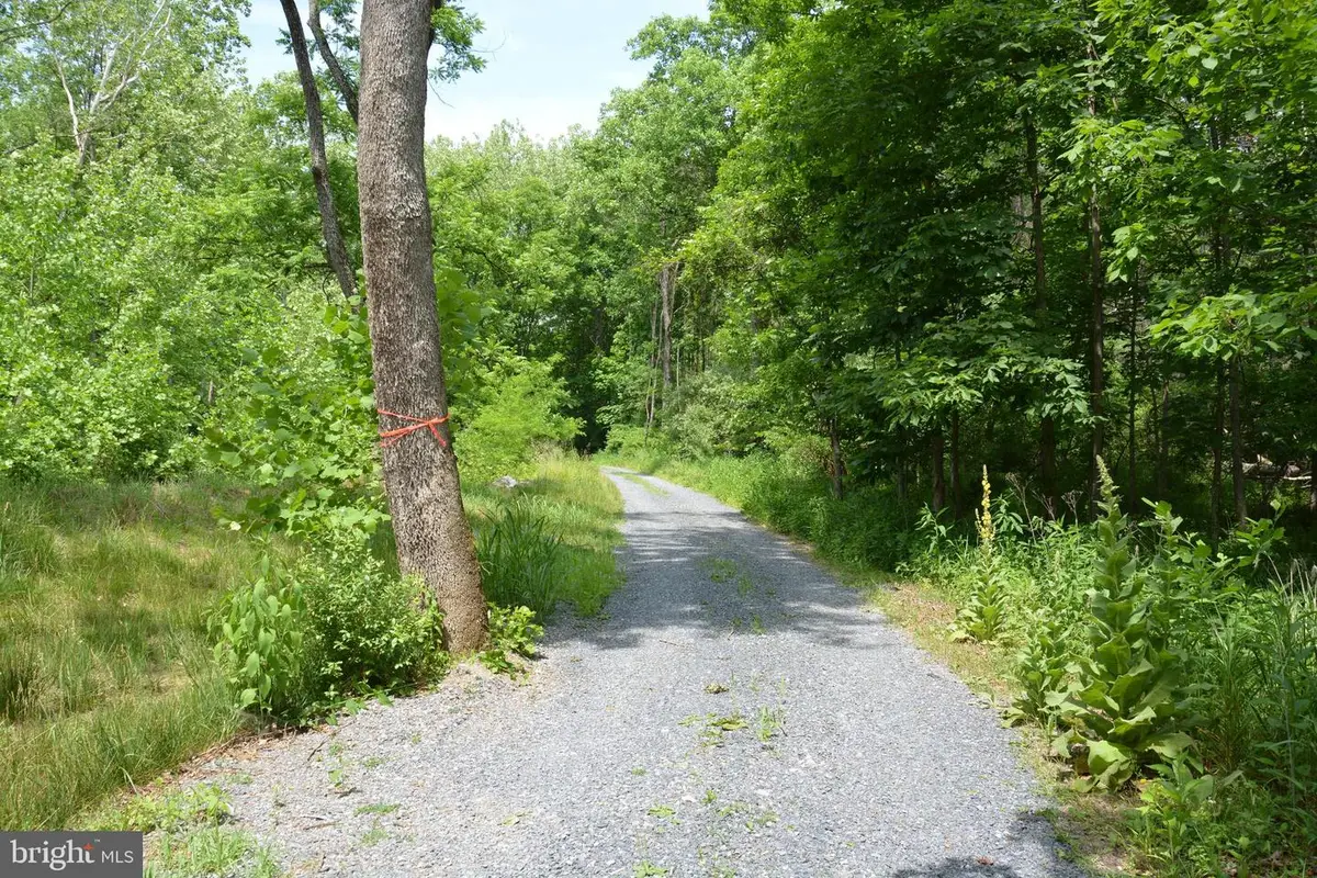 Two Lots On Siler Rd, Winchester, VA 22603 - #1