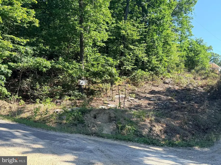 Fox Trl #lot 1, Winchester, VA 22602 - #3
