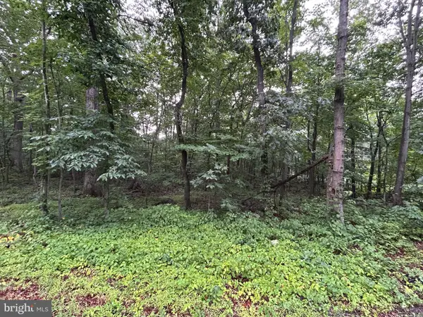 Lot 27 Cochise Trl, WINCHESTER, VA 22602
