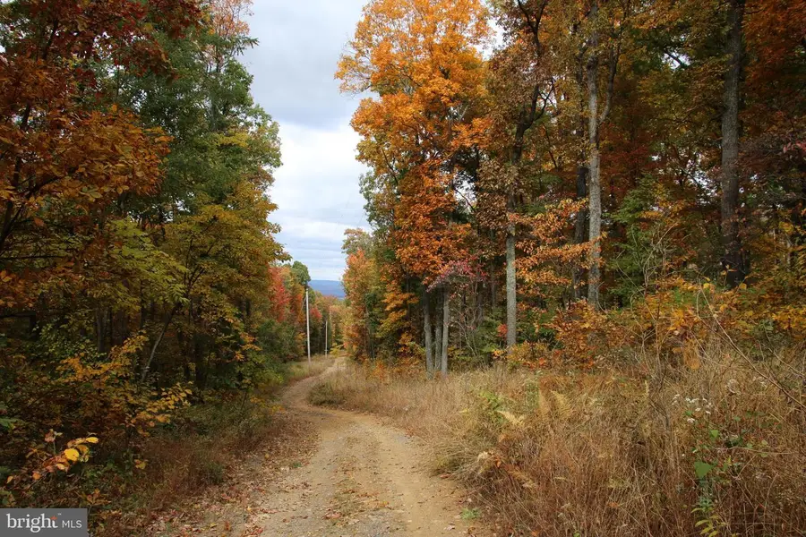 Moorehead Rd, Gore, VA 22637 - #2
