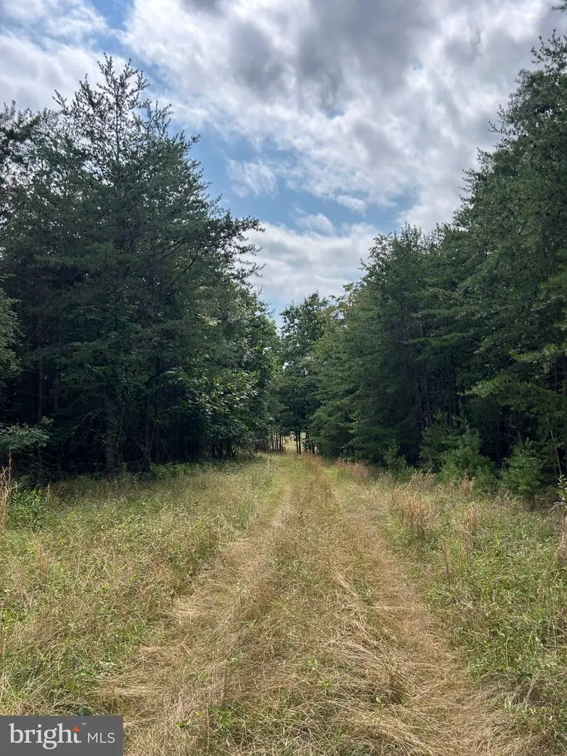 Brush Creek Rd, Winchester, VA 22603 - #2