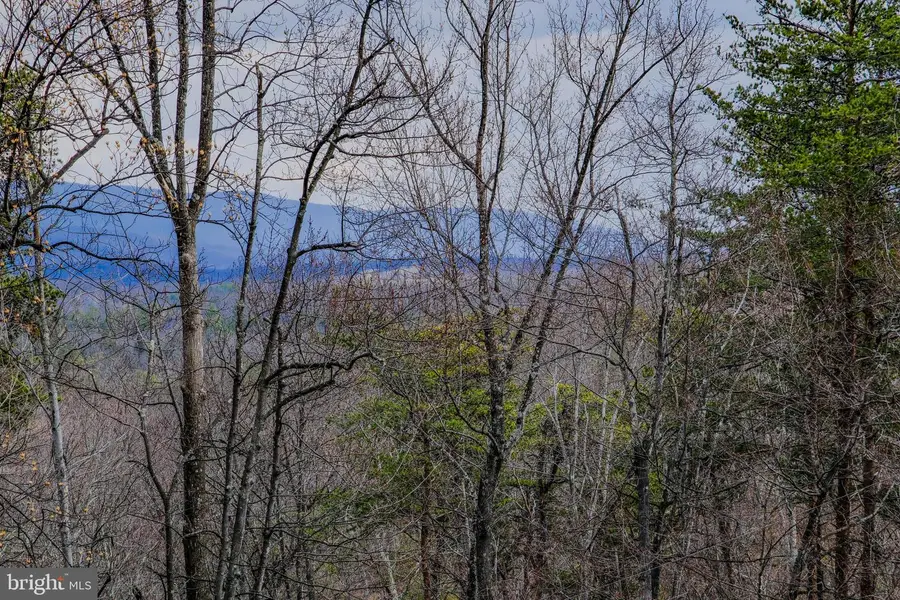 642 Paddys Run Rd, Star Tannery, VA 22654 - #2