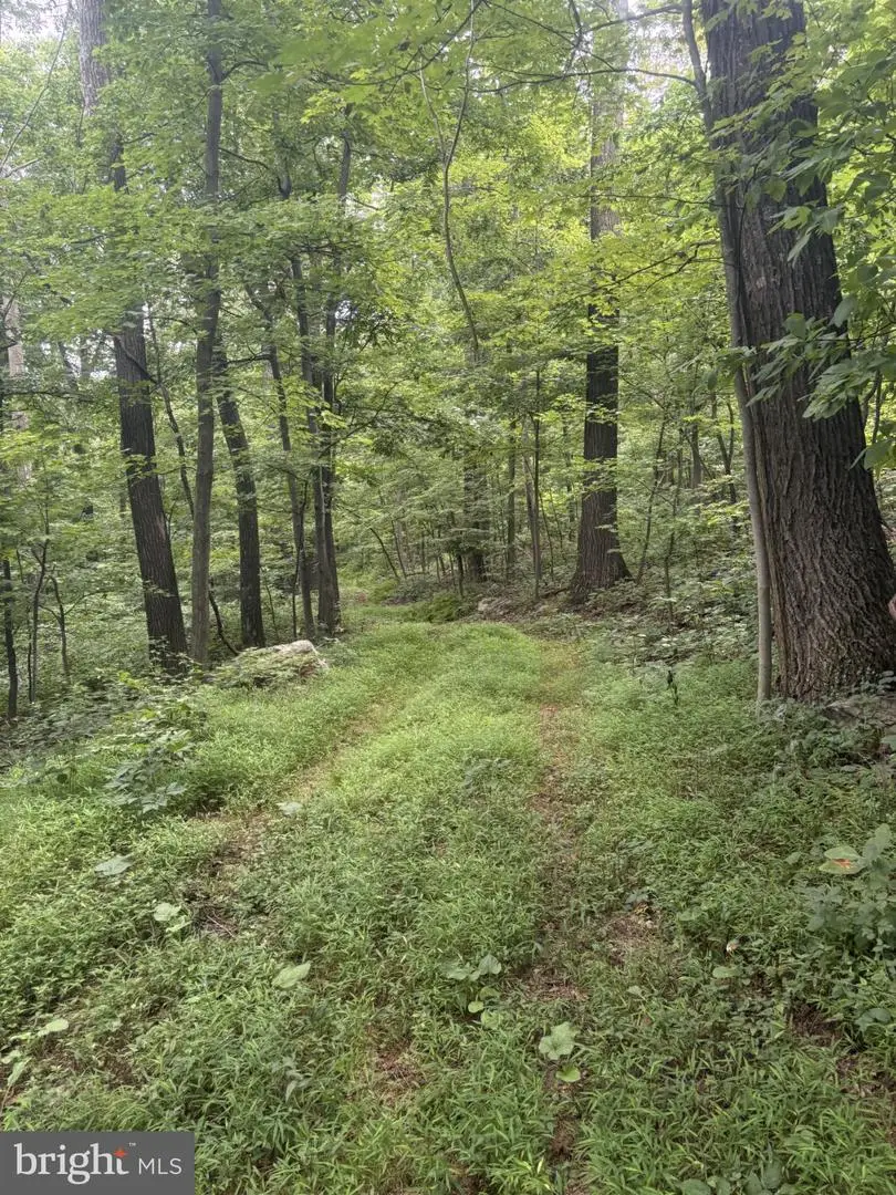 Sundown Rd, Gore, VA 22637 - #1