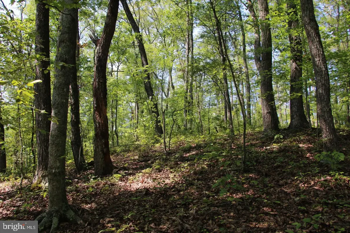 Jeans Meadow Ln, Gore, VA 22637 - #1