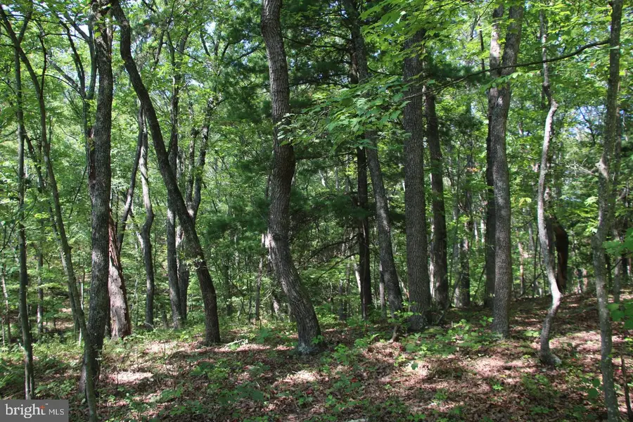 Jeans Meadow Ln, Gore, VA 22637 - #3