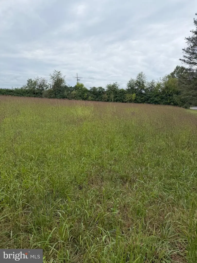 Martinsburg Pike, Clear Brook, VA 22624 - #2