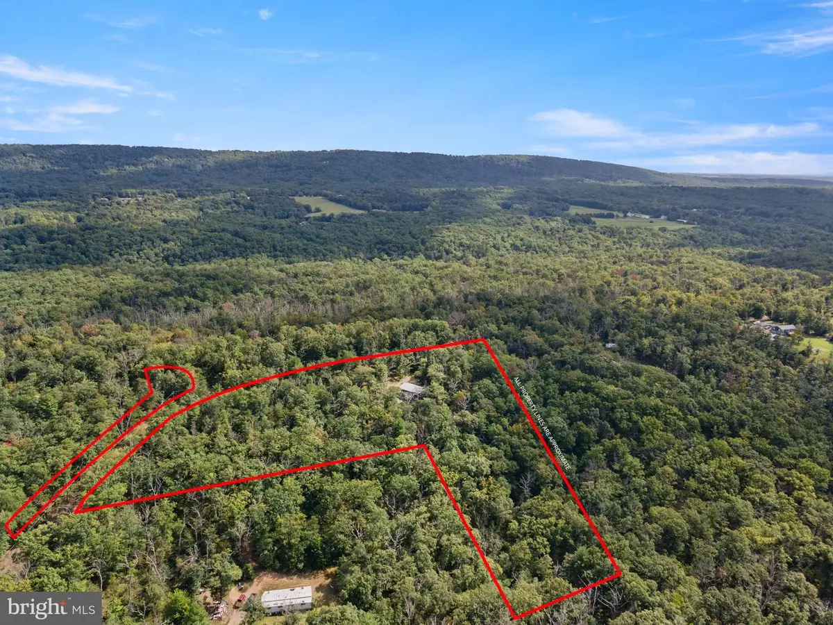 132 White Pnes, Winchester, VA 22602 - #1